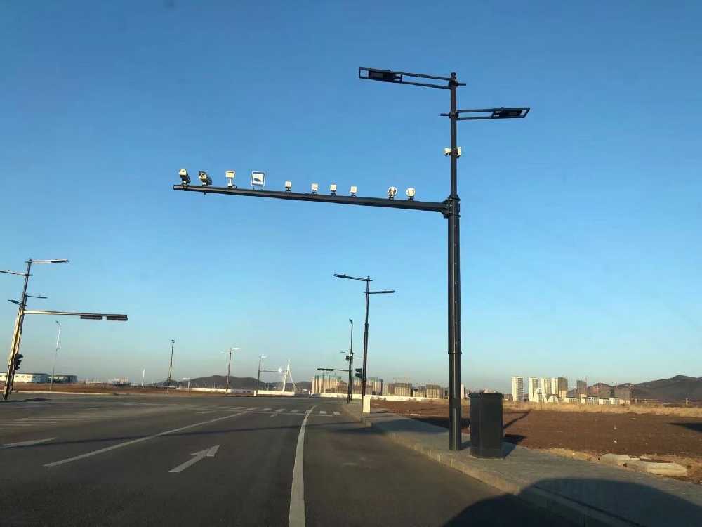 额尔古纳市黑龙江佳木斯综合路灯杆项目