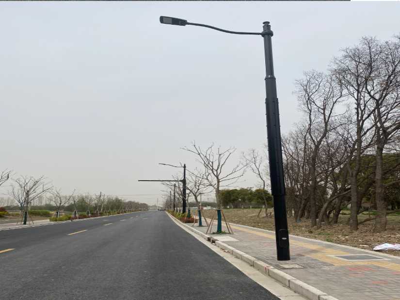 额尔古纳市上海综合杆 太阳能路灯工程